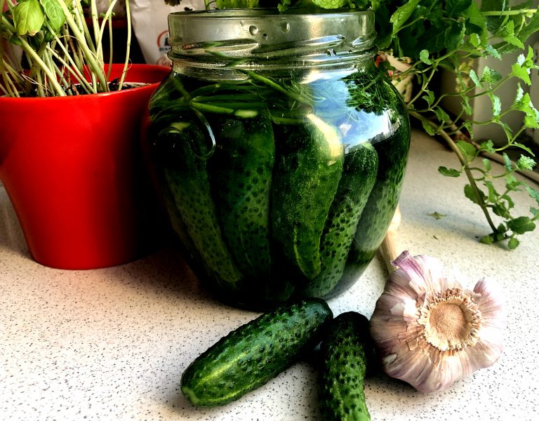 Polish shortly fermented cucumbers CookINPolish Traditional Recipes