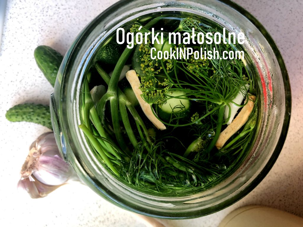 Polish 2-Day Dill Pickles in a jar