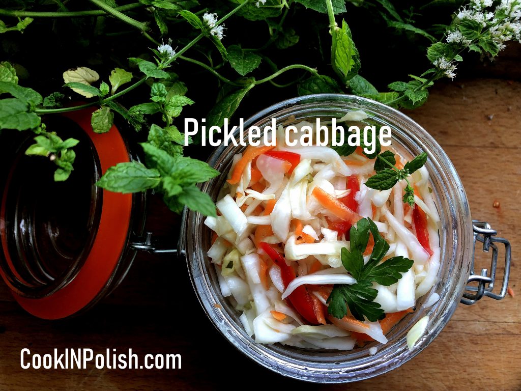 Quick pickled cabbage in the jar