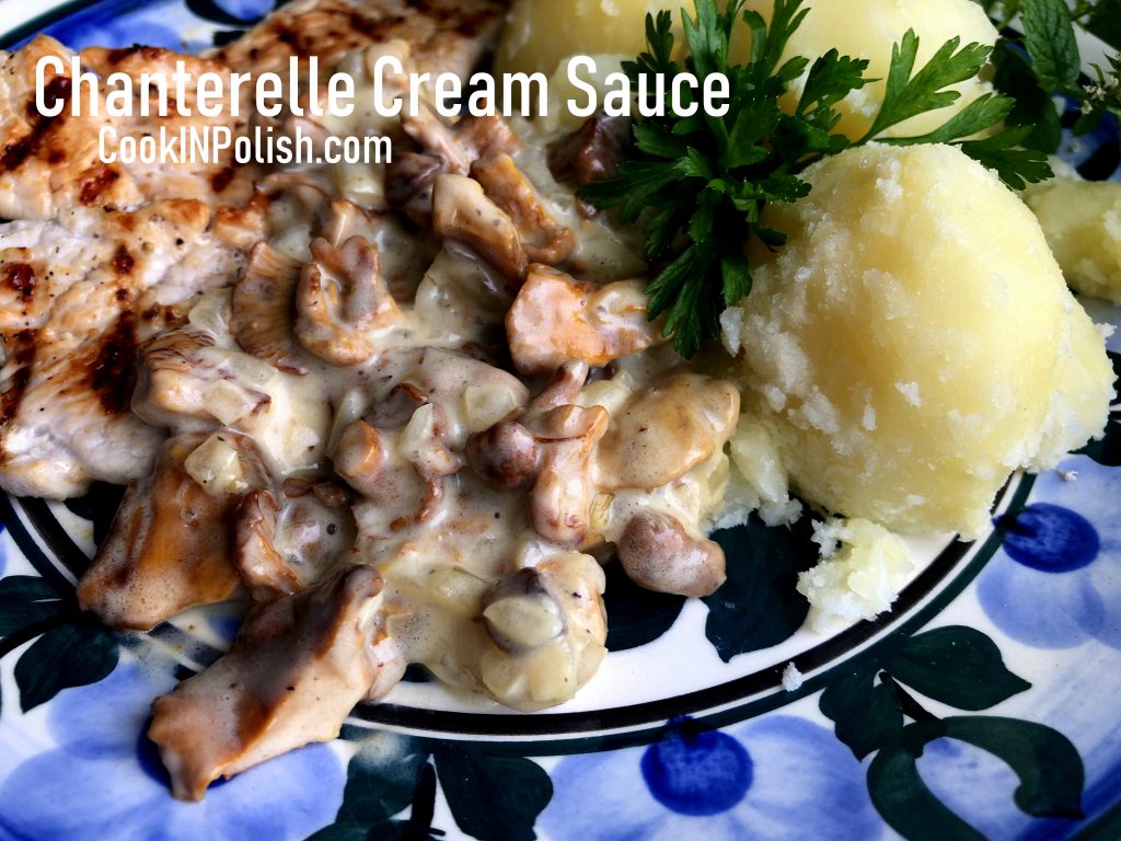 Chanterelle cream sauce on the plate with potatoes and grilled turkey