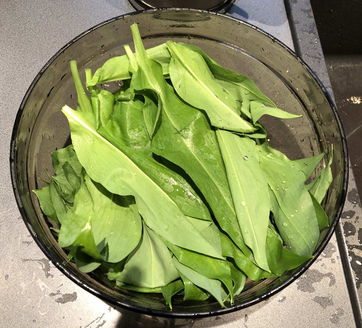 Wild Garlic Ramps recipes CookINPolish Polish Food Recipes