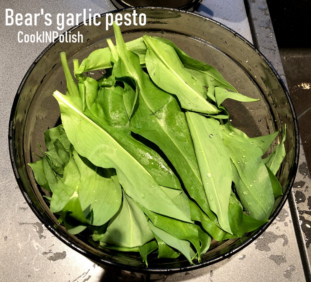 Bear's garlic leaves in the bowl for Bear's garlic pesto