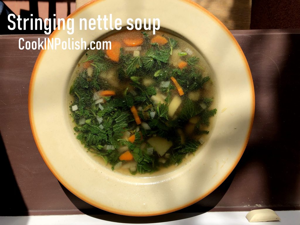 Pokrzywianka Stinging nettle soup served in the plate
