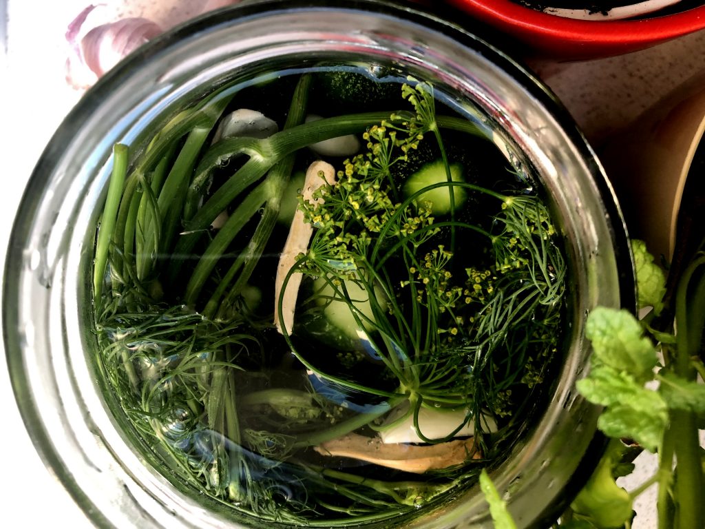 Shortly half sour cucumbers in a jar