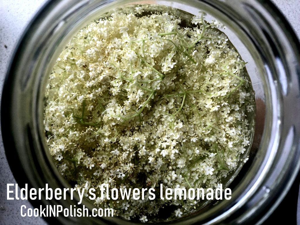 Elderberry fermented lemonade in the jar.