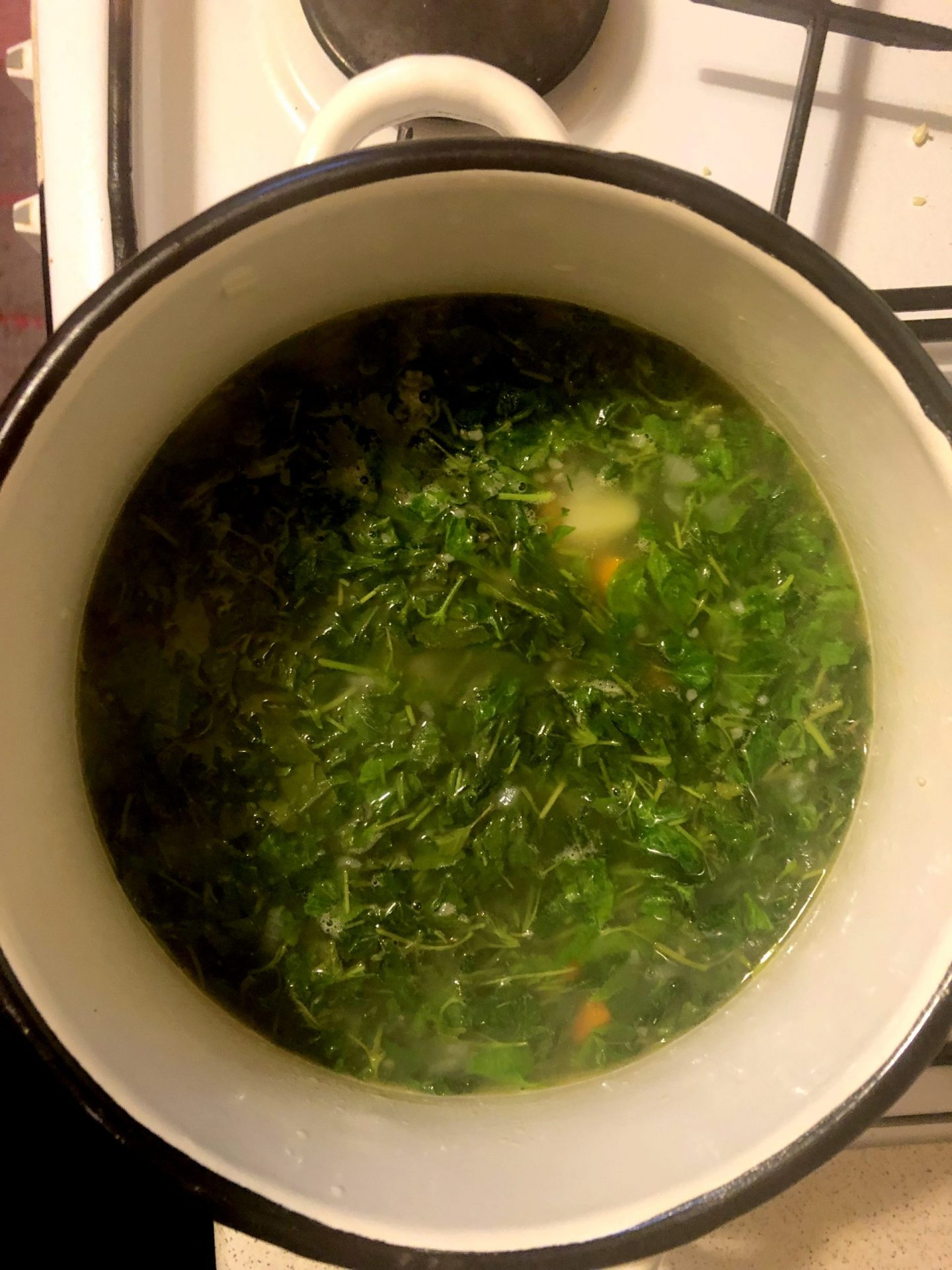 Goosefoot Soup - CookINPolish – Polish Food Recipes