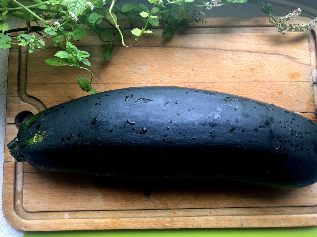 Green large zucchini