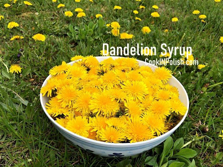 Dandelion Syrup