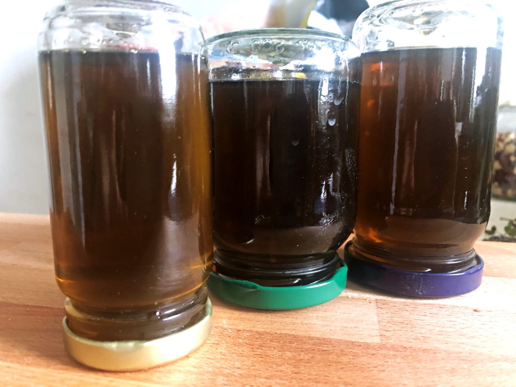 Dandelion Syrup cooling in jars.