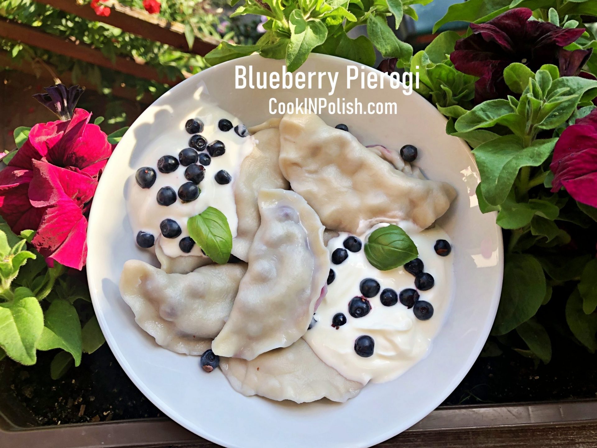 Blueberry Pierogi