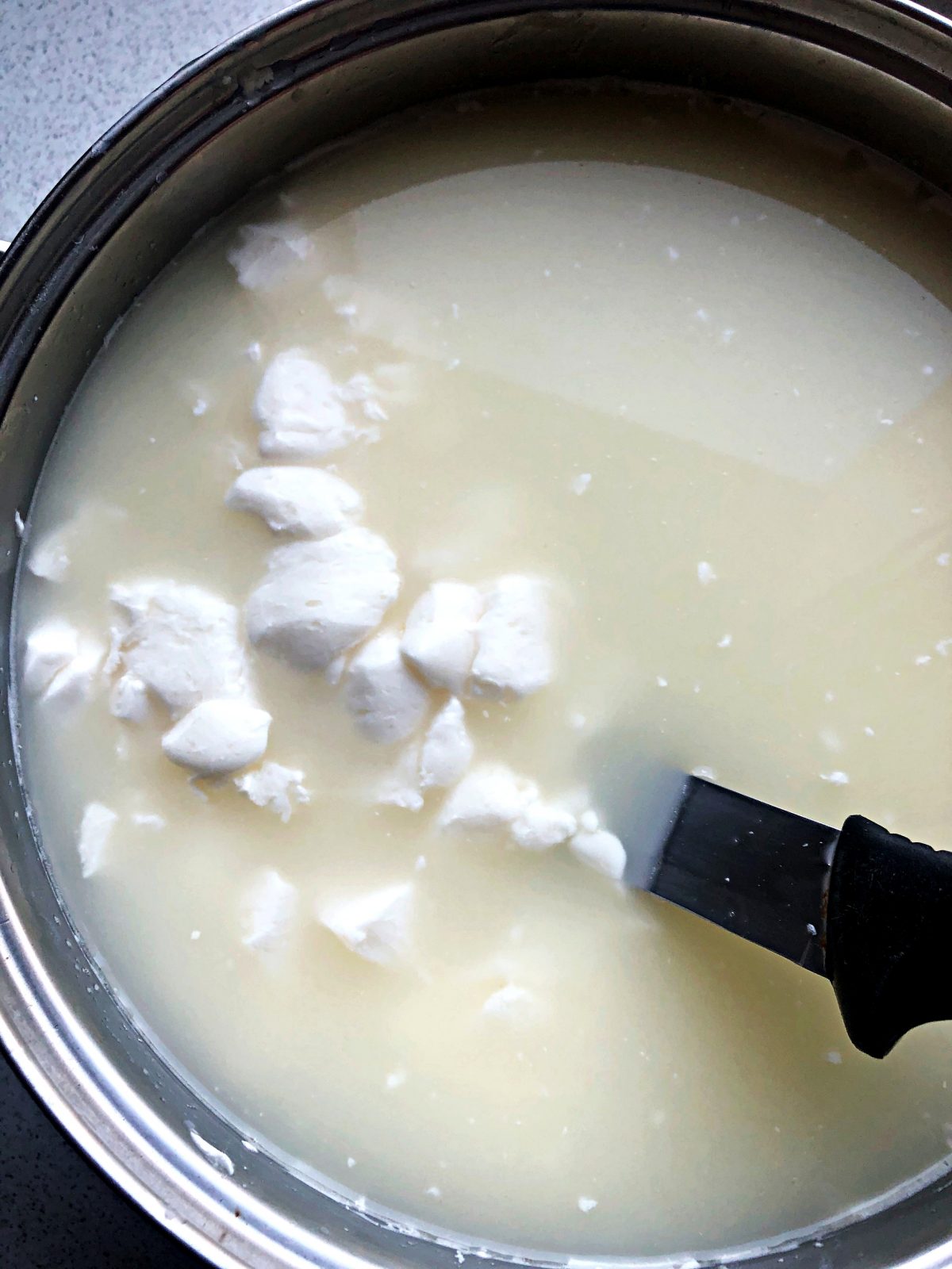 Homemade Rennet Cheese - CookINPolish – Polish Food Recipes