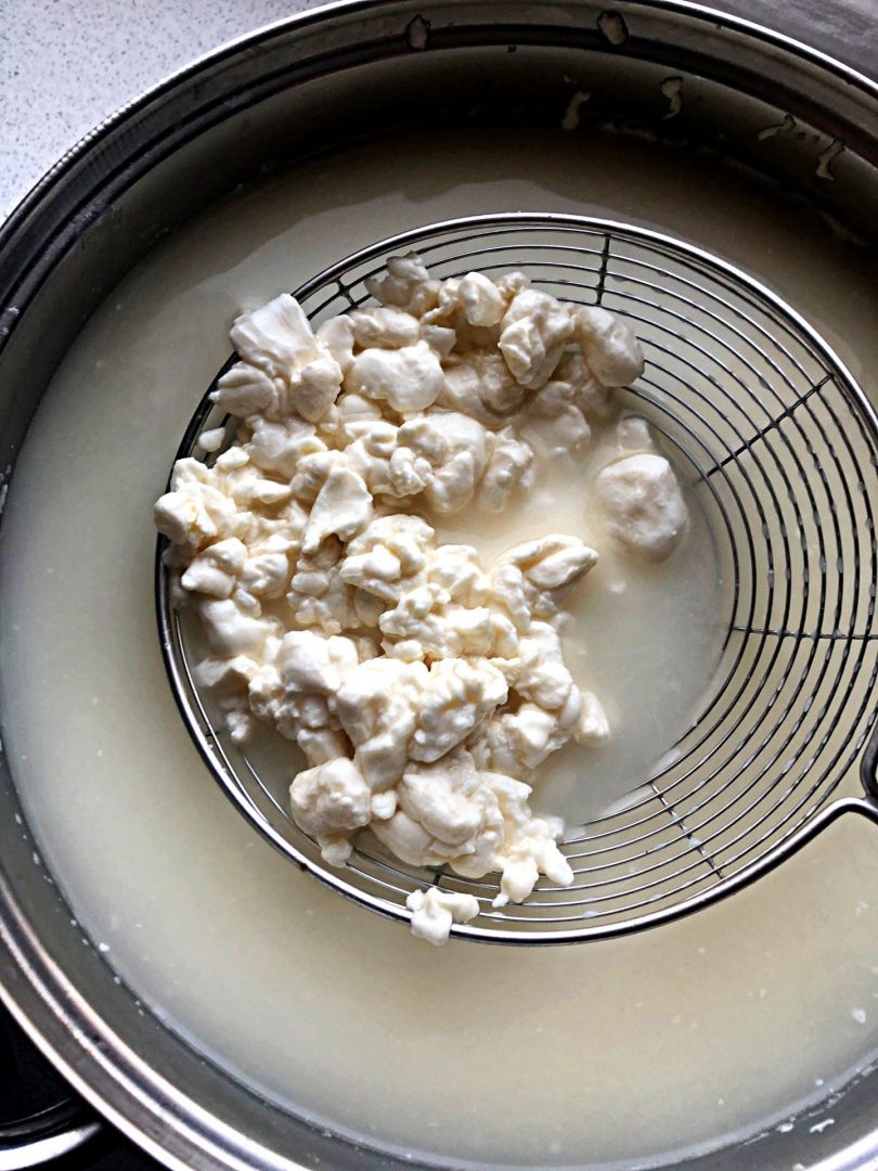 Homemade Rennet Cheese - CookINPolish – Polish Food Recipes
