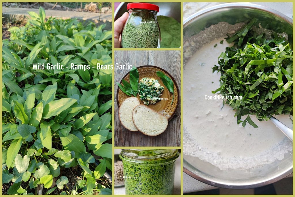 Wild Garlic – Ramps recipes