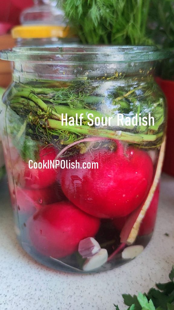 Half sour radish in a jar