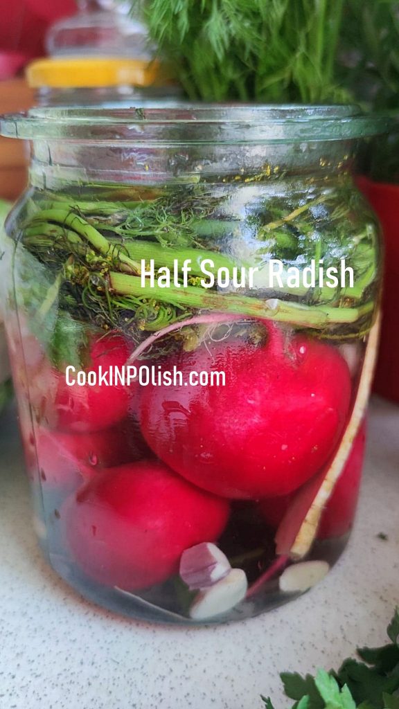 2 Day Pickled Radish in a jar