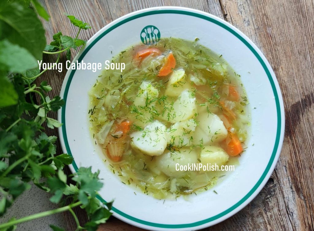 Young Cabbage Soup served with dill and potatoes