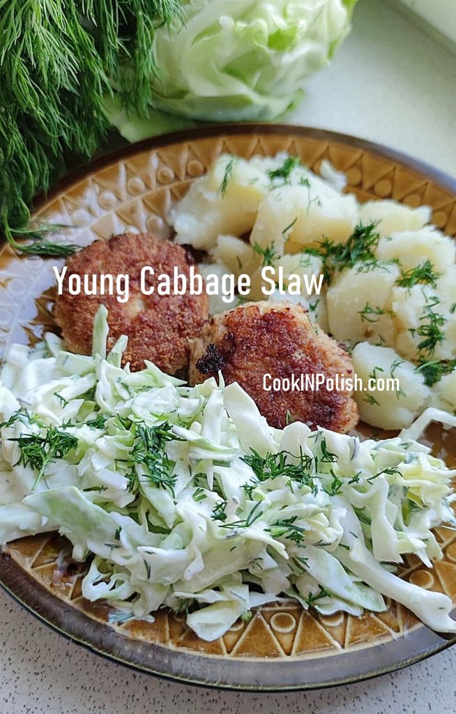 Young cabbage slaw with sour cream and mayo