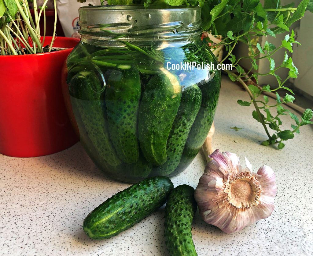 Polish 2-Day Dill Pickles