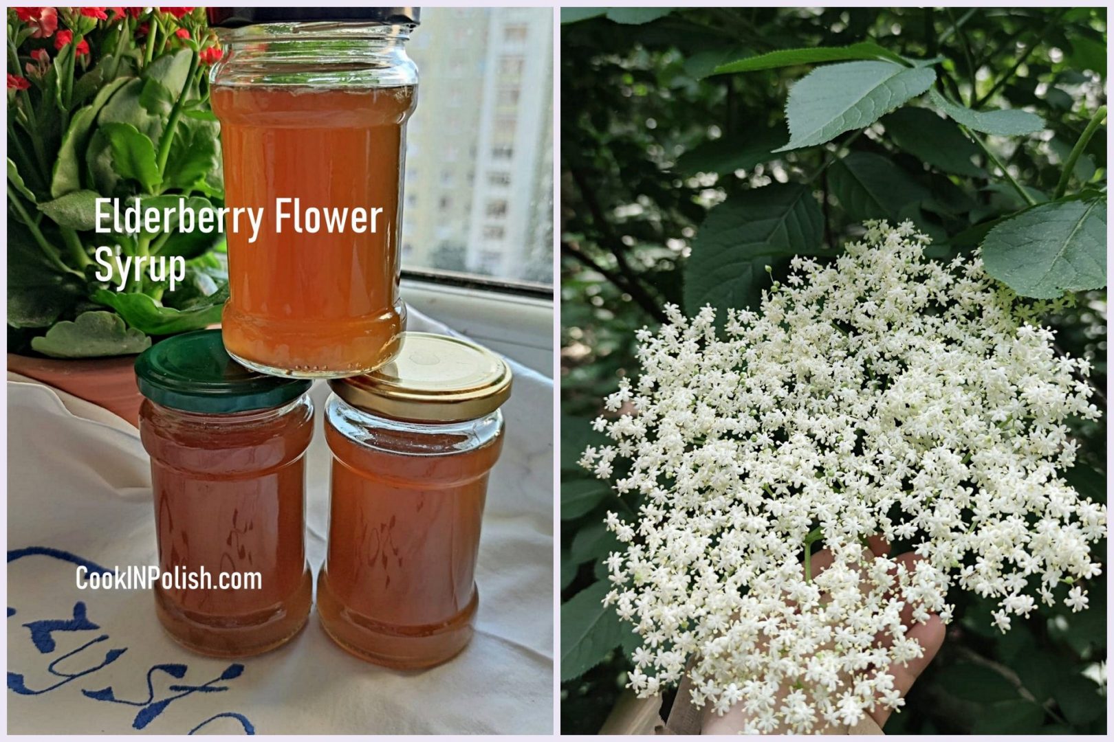 Elderflower Syrup