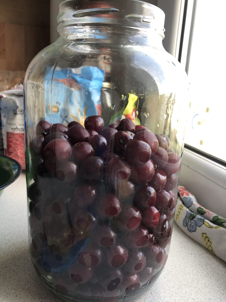 Sour cherries in a jar