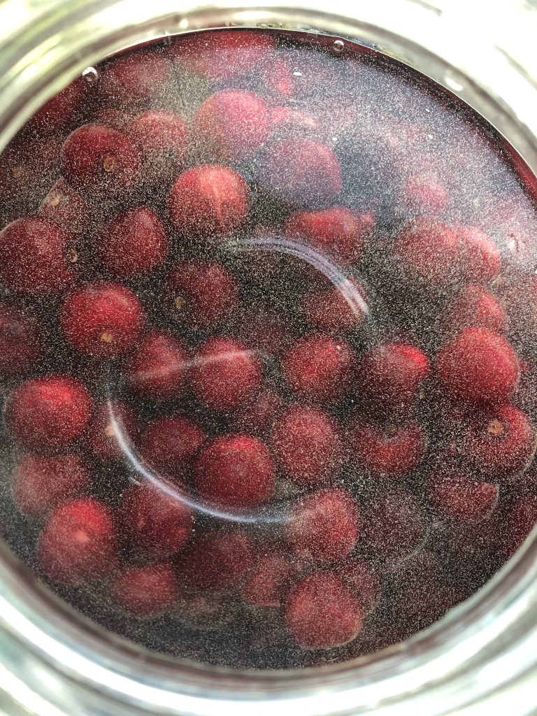 Sour cherries in a jar with alcohol