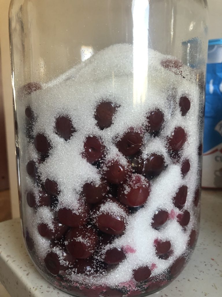 Sour cherries with sugar