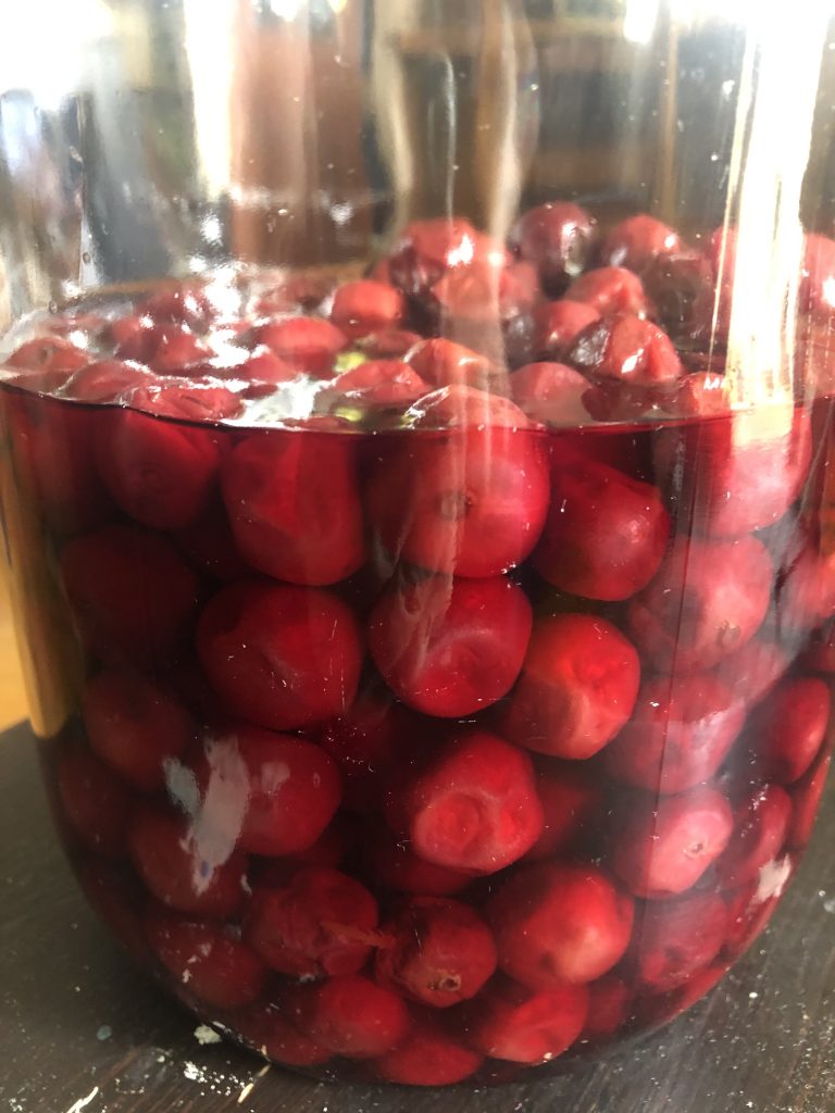 Sour cherries in a sugar syrup