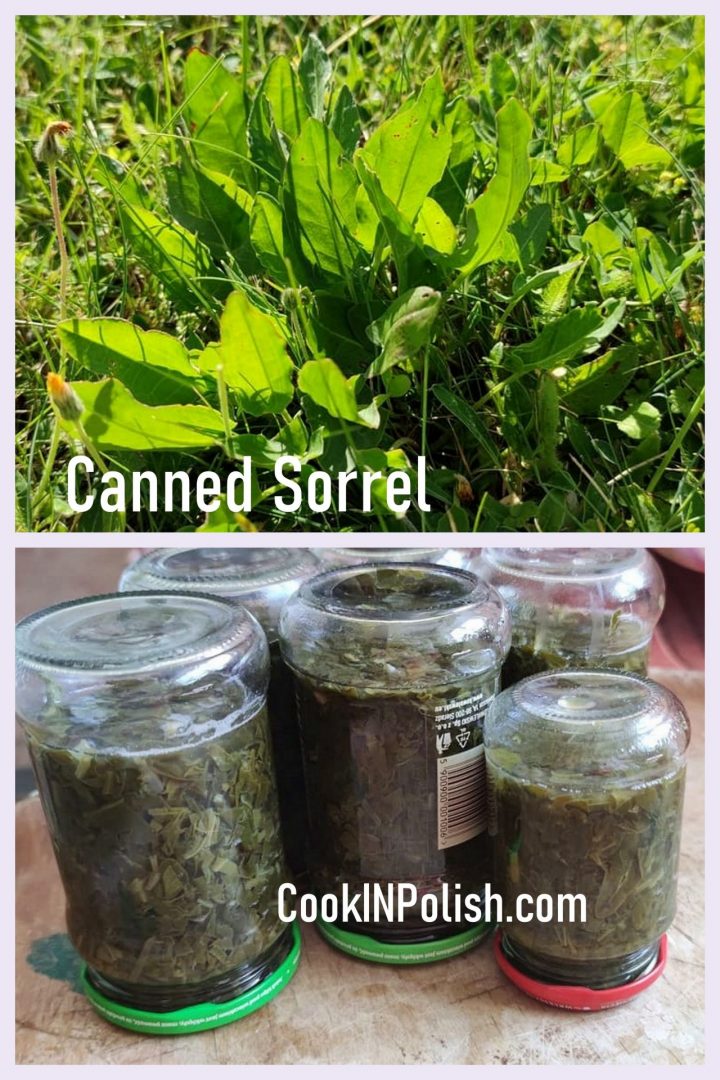 Canned Sorrel for Sorrel Soup