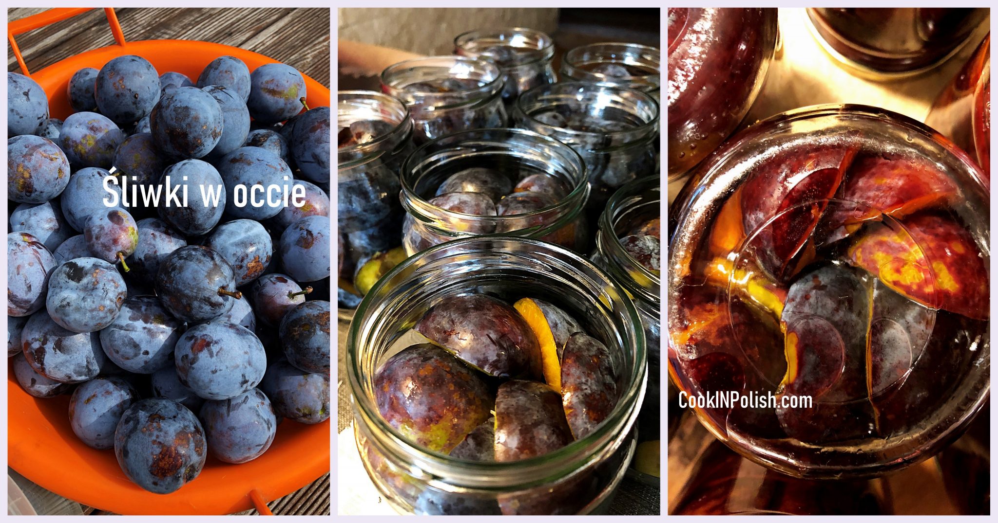 Vinegar Pickled Plums CookINPolish Polish Food Recipes