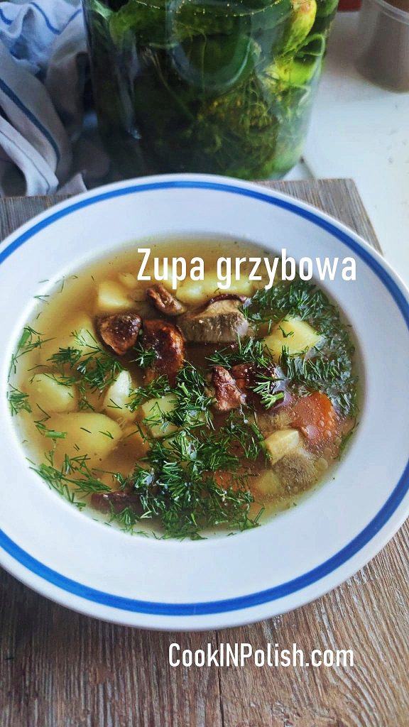 Forest Mushrooms Soup served in a plate