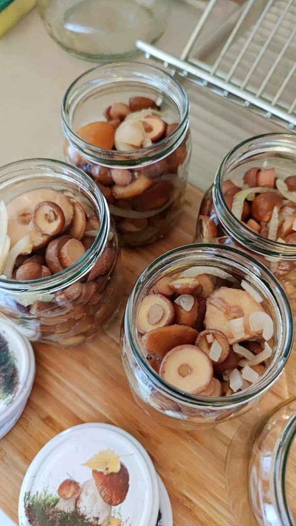 Pickled Forest Mushrooms work in progress