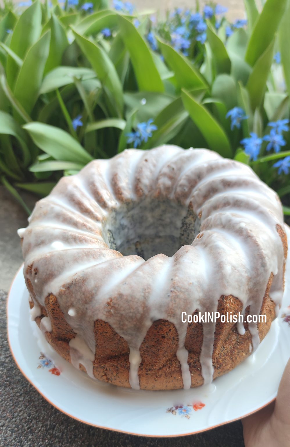 Poppy Seed Babka CookINPolish Polish Food Recipes