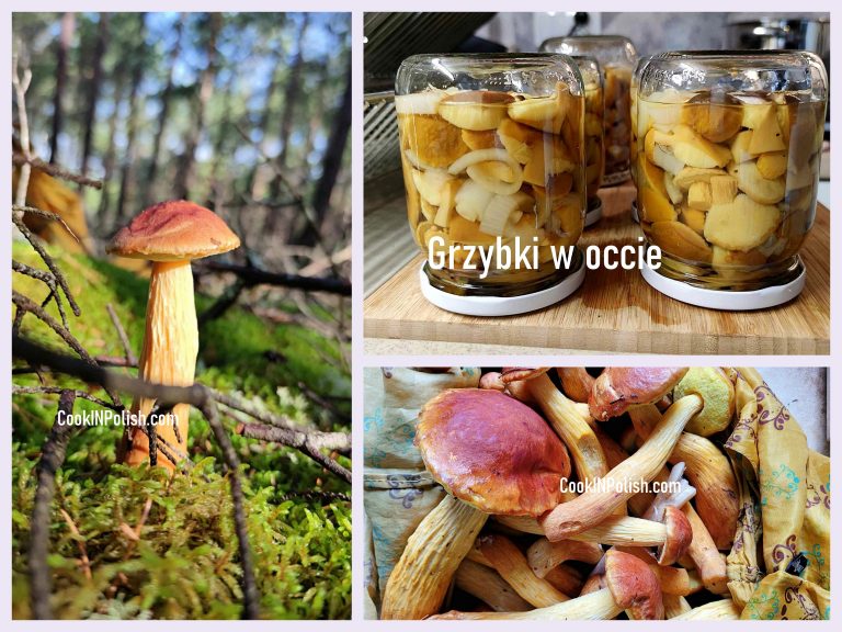 Pickled Forest Mushrooms