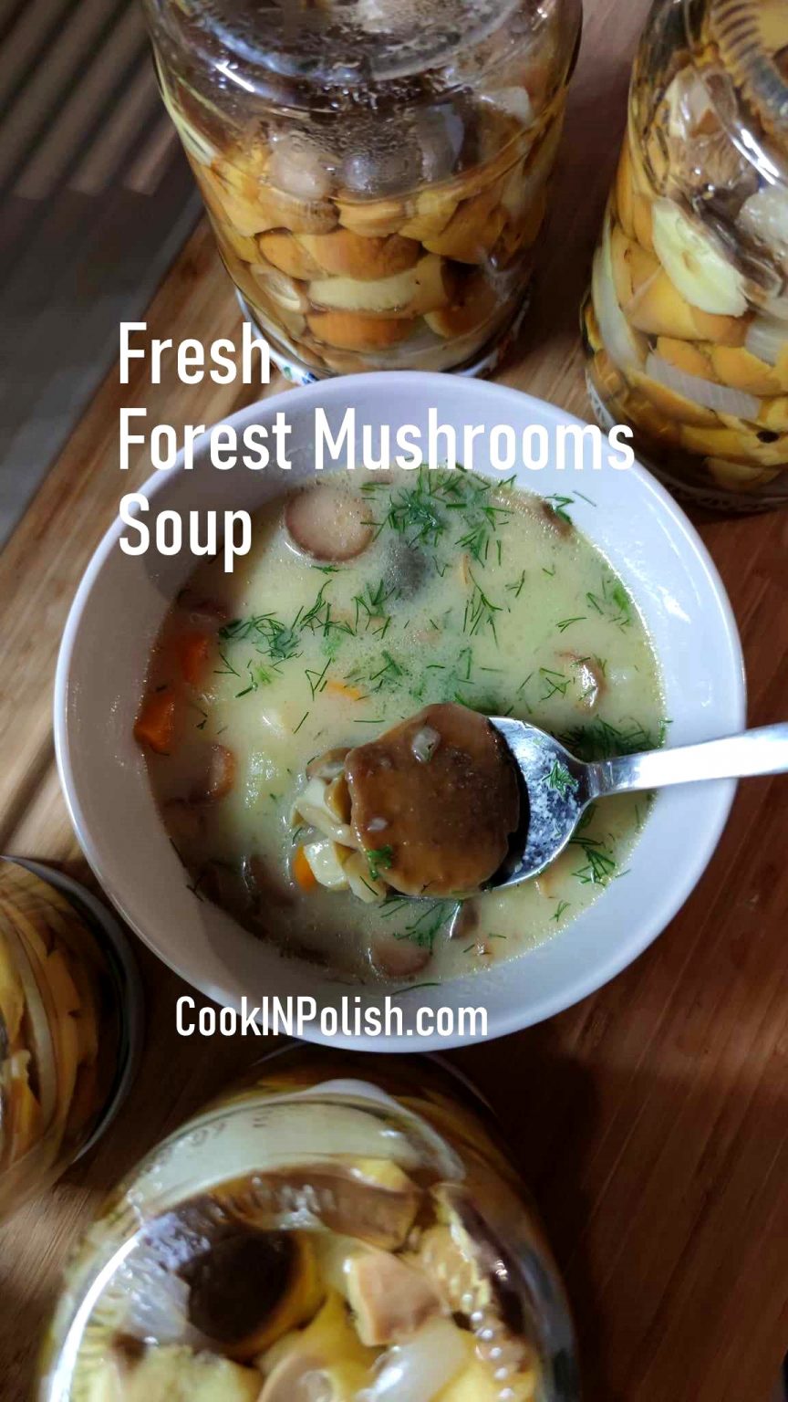 Wild Forest Mushroom Soup