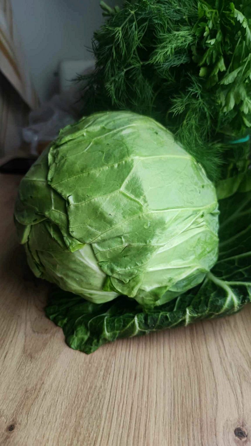 Young Cabbage Gołąbki - CookINPolish – Polish Food Recipes