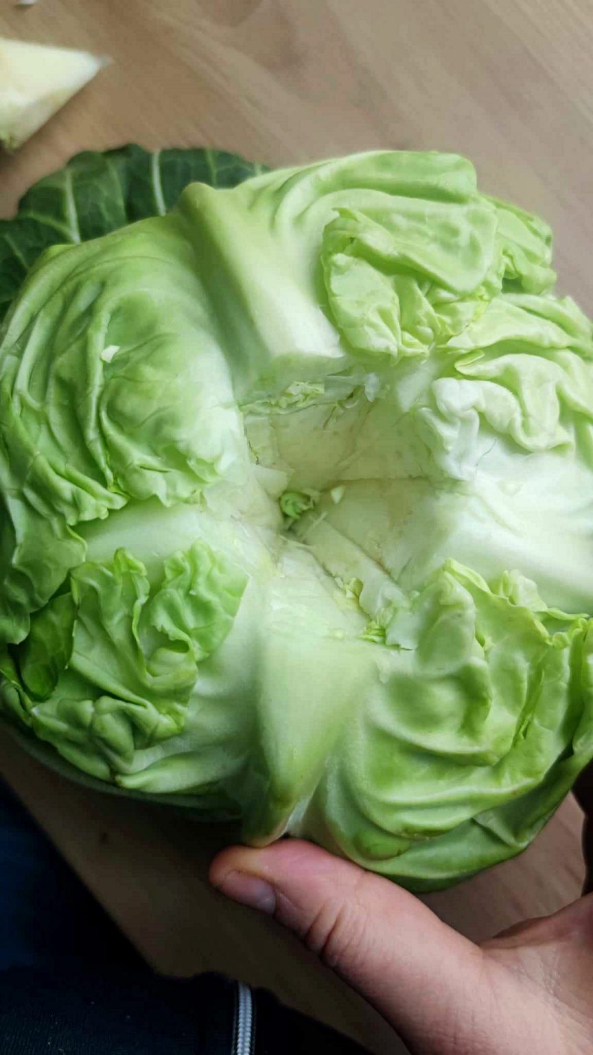 Young Cabbage Gołąbki - CookINPolish – Polish Food Recipes