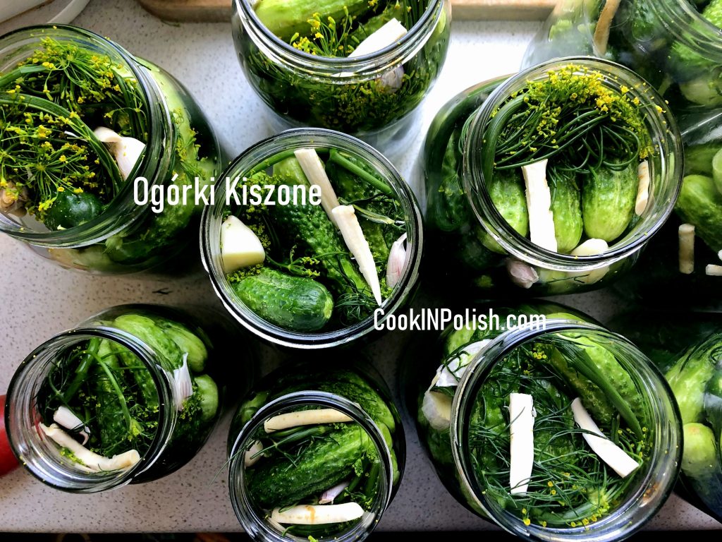 Ogórki Kiszone Polish Pickles in Brine in the making